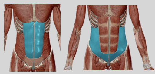 fiche image