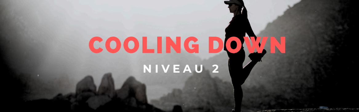 fiche image